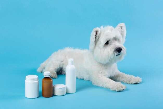 Prevention of kidney stones in dogs
