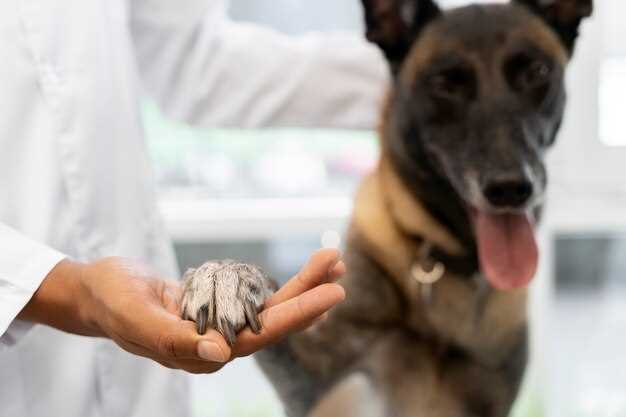 Hydrochlorothiazide canine